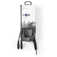 Stereo_Audio_Cable_6_35mm_M_2X_RCA_M_3_0m_Grey_2