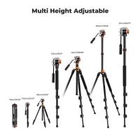Tripod_K234A7_200cm_w__FH_03_Videohead_4