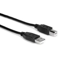 USB_210AB_High_Speed_USB_Cable_Type_A_To_Type_B_10_FT_1