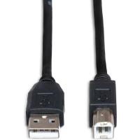 USB_210AB_High_Speed_USB_Cable_Type_A_To_Type_B_10_FT_2