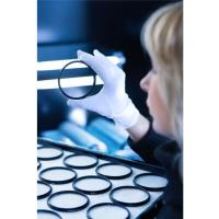 Verloopring_3_62_58_3