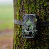Wildcamera_Toad_Full_HD_1