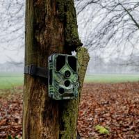 Wildcamera_Toad_Full_HD_2