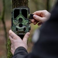 Wildcamera_Toad_Full_HD_3