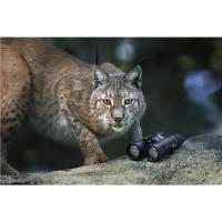 Wildlife_10x42_Binocular_2