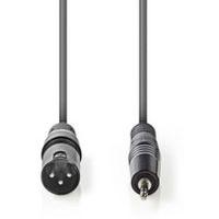 XLR_Audio_Cable_XLR_3_PINS_M_3_5mm_M_3_0m_Grey_1