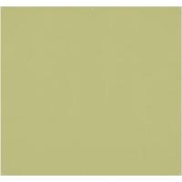 X_Drop_Pro_Wrinkle_Resistant_Background___Mos_Green__2_4_X_2