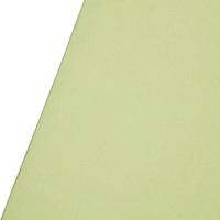 X_Drop_Pro_Wrinkle_Resistant_Background___Mos_Green__2_4_X_2_1