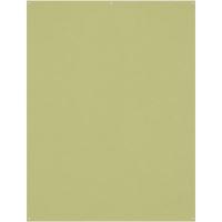 X_Drop_Wrinkle_Resistant_Background___Mos_Green__1_5_X_2_1_M