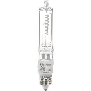250W_120V_Halogen_Mini_can