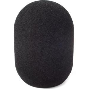 45_100_Large_Diaphragm_Mic_Foam_Single