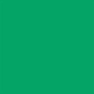 Background_Paper_46_Chroma_Green_0_57_X11_M