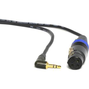 CAY1_XLR_Female_3_5mm_Mini_Stereo_Jack_Cable_40