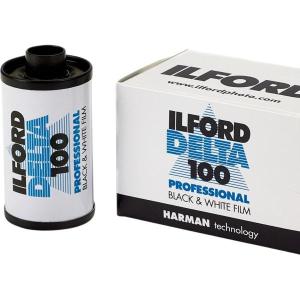 Delta_100_Prof_20_3_X_25_4cm__8x10_