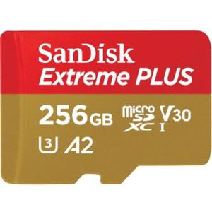 Extreme_Plus_MicroSDXC_256GB_SD_Adapter