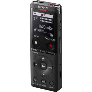 ICDUX570_4GB_Voice_Recorder