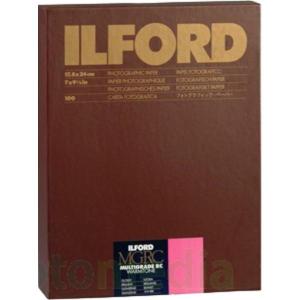 MGT_1M_17_8_X_24_0cm_100_Vel