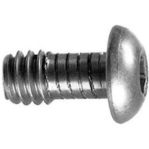 SW_100_Screw