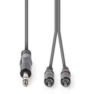 Stereo_Audio_Cable_6_35mm_M_2X_RCA_M_3_0m_Grey