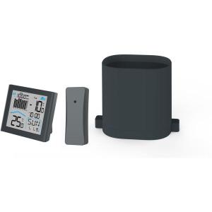 Weather_Station_Rainy_w__Wireless_Regenmeter