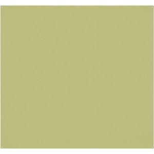 X_Drop_Pro_Wrinkle_Resistant_Background___Mos_Green__2_4_X_2