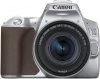 Canon EOS 250D Silver 18-55 S CP