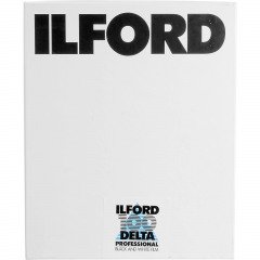 Ilford Delta 100 Prof. 20.3 x 25.4 cm (8x10)