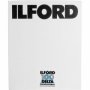 Ilford Delta 100 Prof. 20.3 x 25.4 cm (8x10)